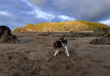 Ellen DeGeneres to Hand Out ‘Millions’ Of Dollars in Bonuses As Hit Talk Show Ends